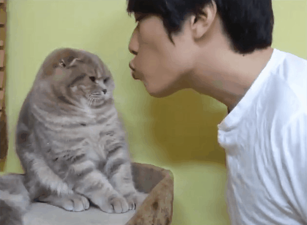 真的有人舔猫了！猫咪被舔的时候想的啥？它们会嫌弃吗