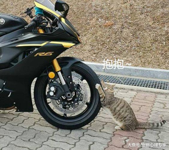 男子路边停摩托车，远远瞧着前轮不对劲，凑近一看摊上大事了