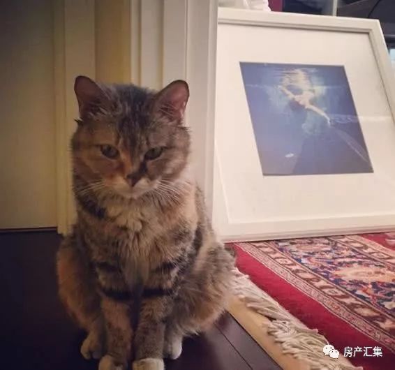 惊叹！来自新疆的主持人尼格买提豪宅大曝光