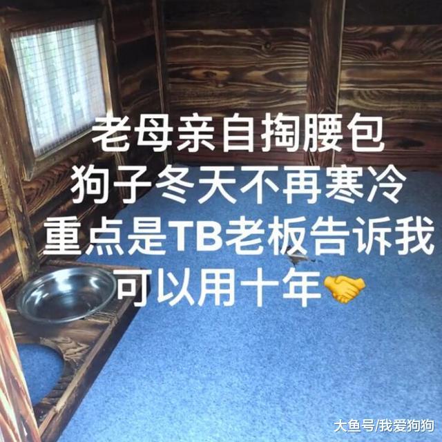 买的时候说这房可以用十年, 结果过了两个周, 网友: 买房需谨慎!