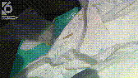 三个月大女婴纸尿裤内发现活虫，气愤家长找商家讨要说法