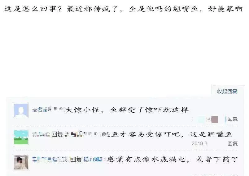 高铁过境致鱼群触电？鱼群疯狂跳上岸，钓友捡鱼