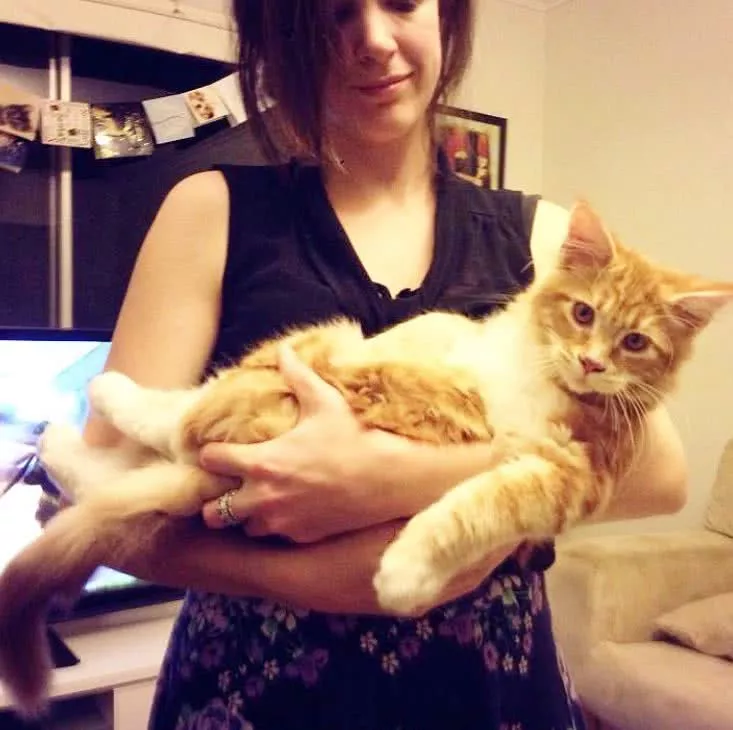 本想养个小可爱，没想到，这货居然破了吉尼斯世界纪录！