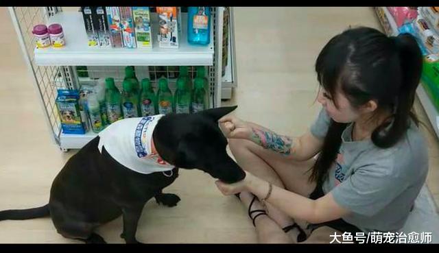 黑狗被遗弃在宠物店门口，店长干脆请它当代言人，做起了小店员！