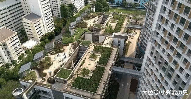 保障性住房|寸土寸金的新加坡人口密度是中国五十多倍，为何没有房奴？