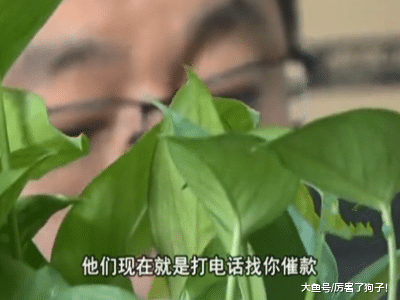 ?男子網貸借款，深陷其中一發不可收拾，稱：等著對方起訴我