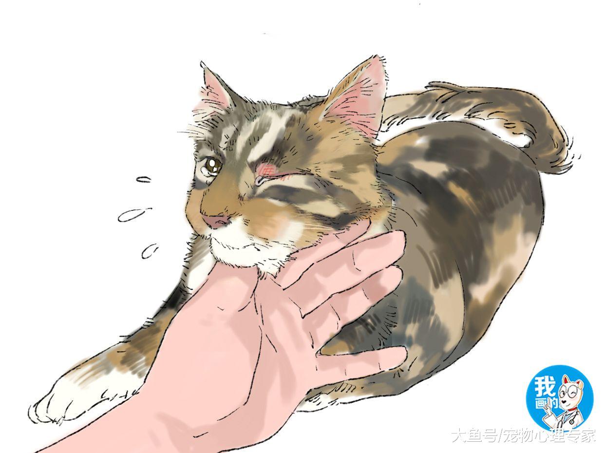 猫咪闭着一只眼睛，女子以为在抛媚眼，却发现喵竟被虐待了