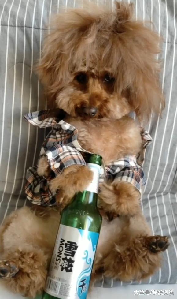 狗子失恋后就在放飞自己的路上越走越远，看着像男的实际是女的