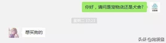 全国数百家宠物店都在做这件事——营业额翻倍, 做到这点就够了!