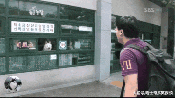 狗狗当上了“售货员”，还会自己开门营业，真是操碎了心