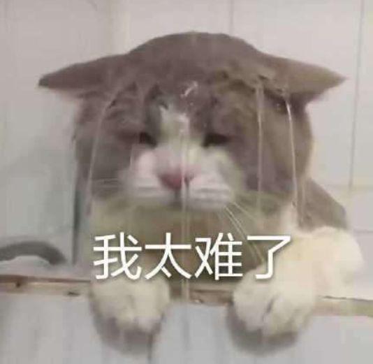 押金不超月租2倍，房东无权乱扣！深圳租房新合同启用，这些变了