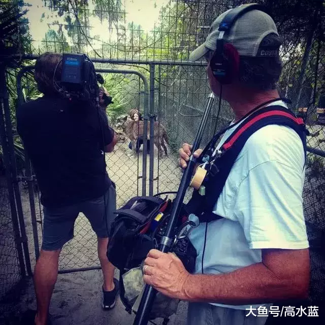 美女因驯服野生巨狼火了，专家却说：别急，这货可能是狗…