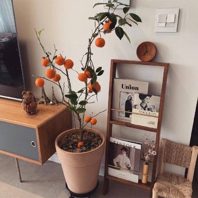 小户型也可以别具一格，这样的复古风，让你的家与众不同