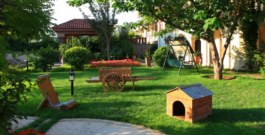 673套！深圳这个区的公租房终于来啦！就在地铁旁！