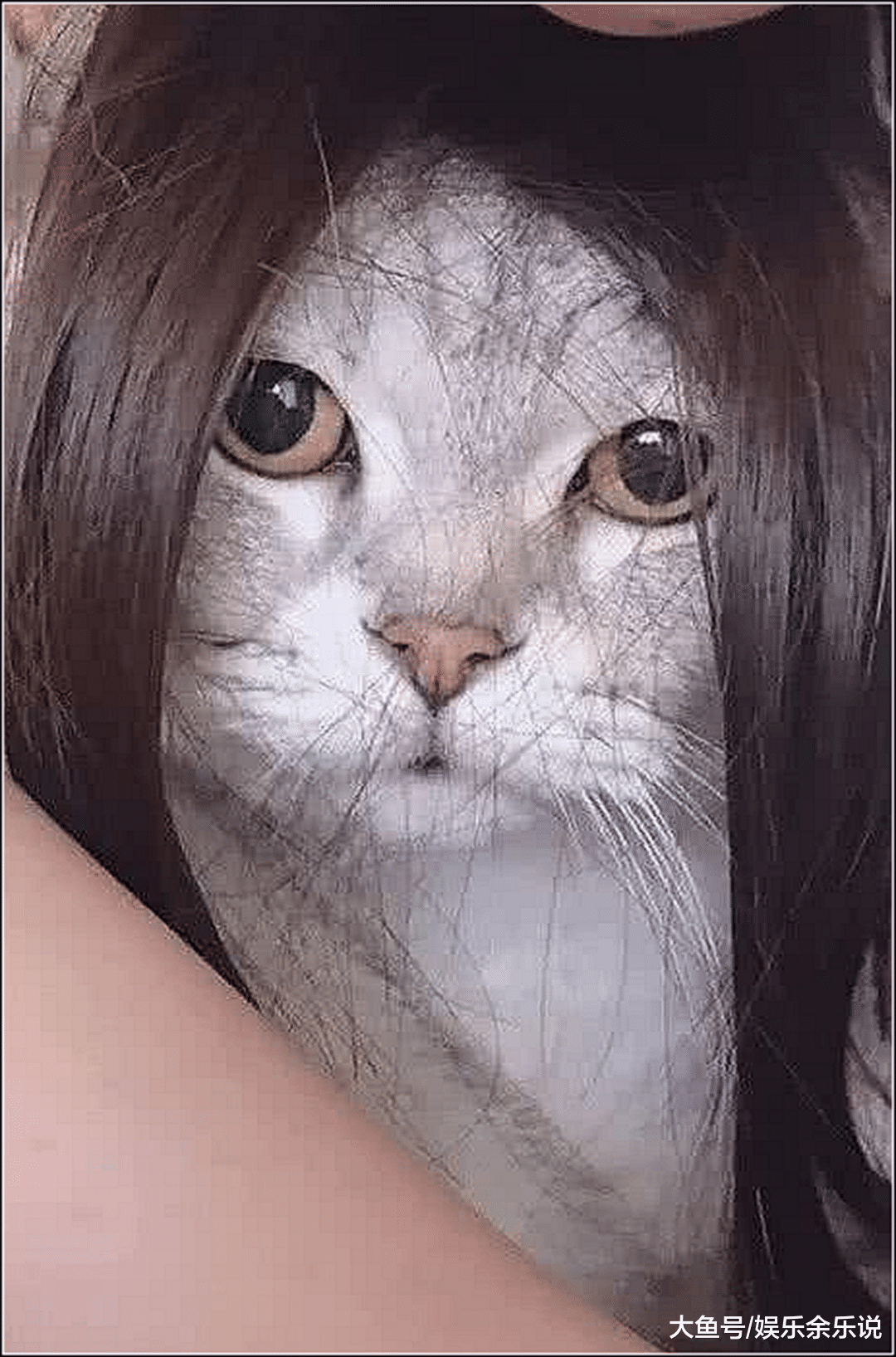 女主抱着猫咪拍照，当成品出来那一刻，网友：想做的你怀中猫