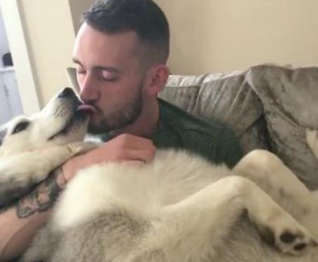 小伙工作太忙把二哈送给老爸, 2天后, 老爸的反应亮了