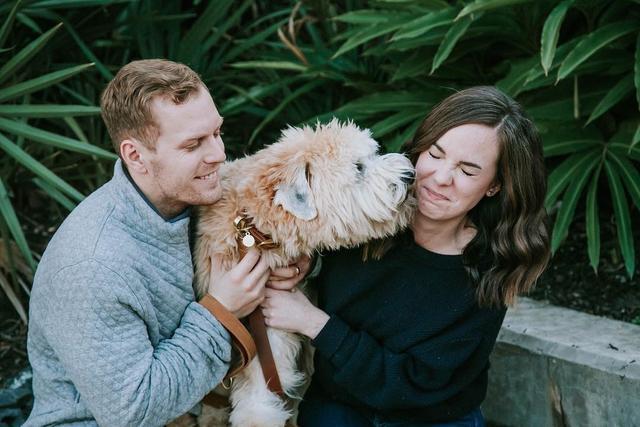 愛犬遭遇車禍，主人卻被迫簽下保密協議，不得起訴遛犬公司