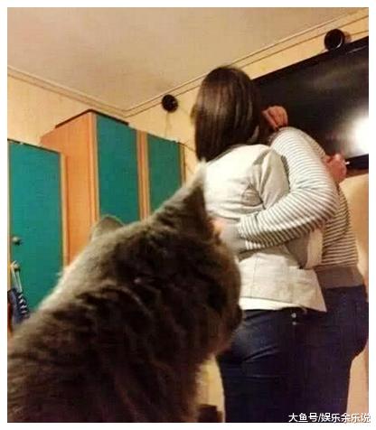 女子跟男友在房间秀恩爱，忘记还有一只猫咪，一看它的表情不淡定了