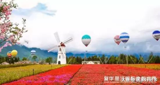 净月怪兽，复华未来世界，貌似走丢了。