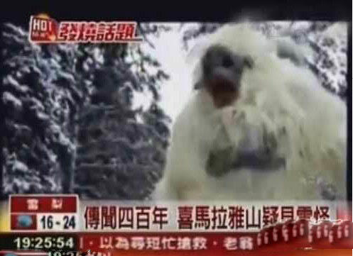 奇特生物：盲目蝾螈似“中国龙”竟可存活100多年