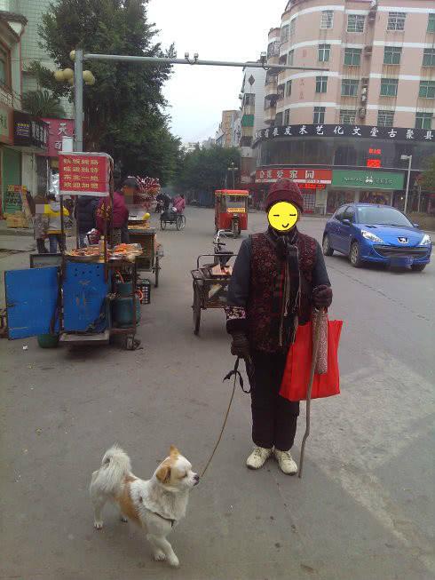 8旬老人花100万把自己的儿子送人, 可她儿子竟然是条狗!