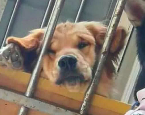 网友在阳台吃面条，发现楼上有水滴下来，抬头一看直接崩溃了！