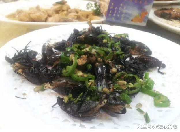 都说平头哥胆大包天，什么敌人都敢怼一怼，不过这几种动物平头哥看到也要绕道走…