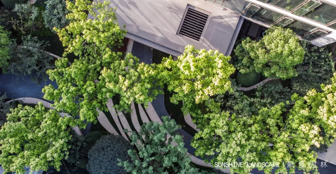 融创又一力作 | 中原壹号院