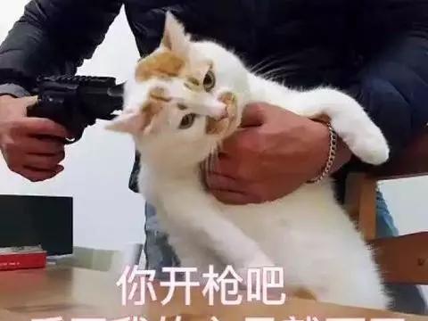 给网瘾族看看：打赌100天，会发生什么？