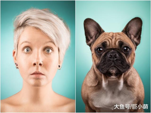 物似主人型，当养狗的时间变长，狗狗就会和主人长成双胞胎