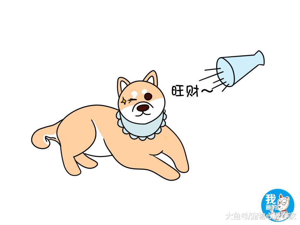 狗狗的记忆力有多强，不多，也就是一辈子的时间吧