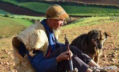 我们当它是伙伴，它却当我们是亲人，看到第6个我再也受不了了