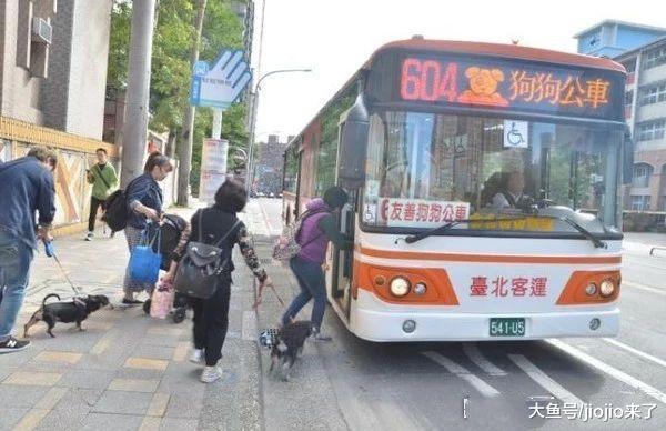 “狗狗也能坐公交车? ”网友初到台湾的这个发现让人大跌眼镜……