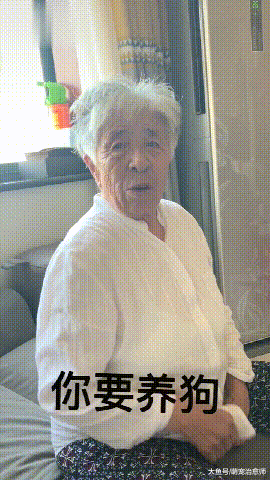 当初奶奶极力反对养狗，后来却抱着狗一起睡觉，态度转变太快了！
