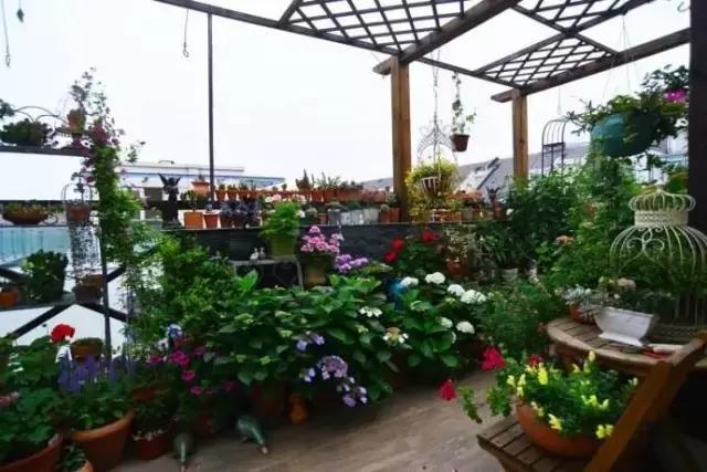 买顶楼就是好，一个露台那么漂亮，买到就是赚到！