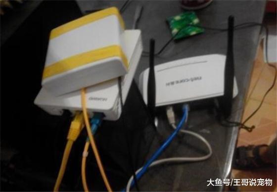 [路由器]路由器旁不要放这两样东西，不然百兆宽带也卡！