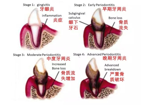辟谣，猫咪吐舌头可不是散热哦，这很有可能是疾病信号