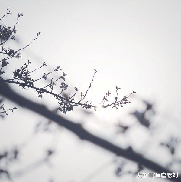 10月大吉大利，财神加持，贵人撑腰，3生肖财运旺，赚的满满当当