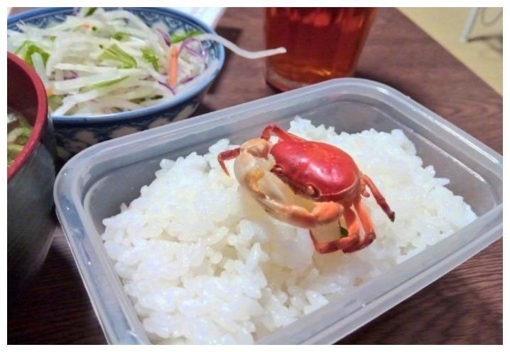 反轉猝不及防：日本寵主常曬養的河蟹，突然一天，把它給煲湯了
