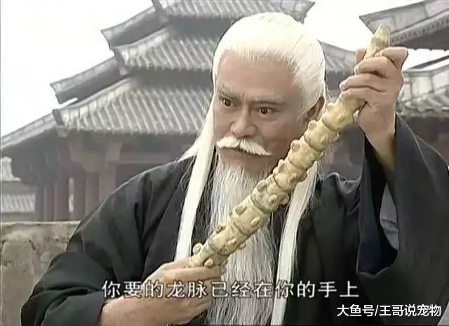 武侠剧中六大智慧型反派，贝海石垫底，雄霸排第二，第一天下无敌