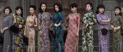 原來貓咪聚在一起的時候也會比誰的更長