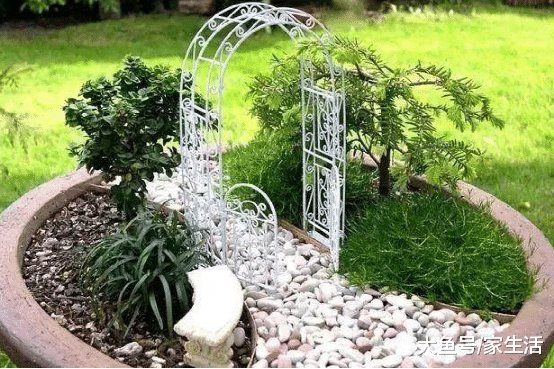 家里的废弃花盆别再扔掉了, 回家做个微景观, 太好看了