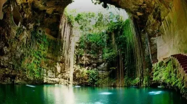 6大抵御人类摧残的生物，不仅如此，人类正在迫使更多的生物进化