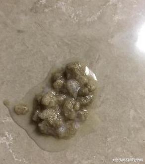 引起狗狗呕吐的原因非常多，常见的有这4种