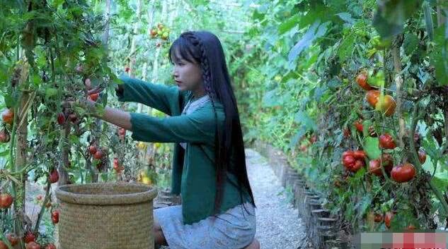 网红李子柒也翻车？自制土坑绿豆芽，却被网友吐槽：也就骗城里人