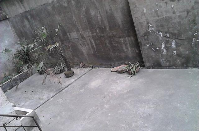 物业不让自建阳光房，还能阻止我装块玻璃？天井上这样做，多个小花园