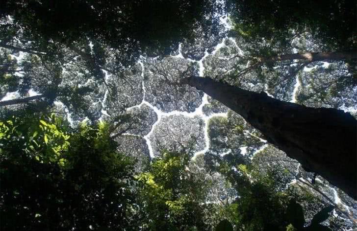 25张完美的图片, 简直就是视觉盛宴啊