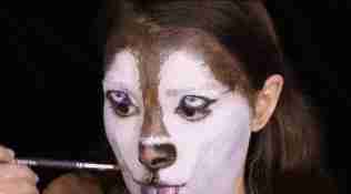 女主人化妆成自家二哈的样子，二哈看了一脸懵逼：这是我大兄弟？