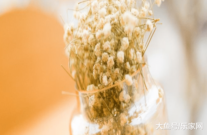 家里摆放这些，就成高级家！邻居天天来参观！