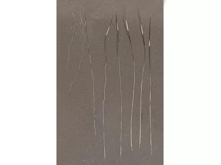 为啥猫咪每天掉毛依然毛茸茸？别酸啦，其实猫也是会秃的！